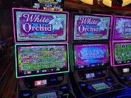pkr500 Sportsbook